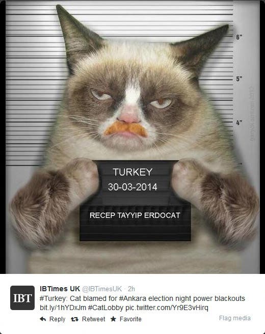 Turkish Minister Blames Cat For Power Blackout