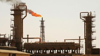Arab oil importers economy to recover in 2013