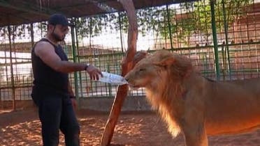 At a wildlife park in Ras al-Khaimah in the UAE, Jasim Ali takes care of wild animals bought on the black market and then abandoned, and devotes himself to adopting neglected and mistreated creatures. (Reuters)