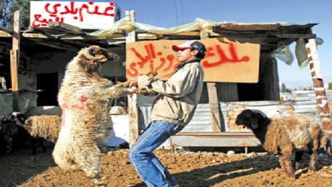 إخوان مصر يغازلون سكان العشوائيات بـ\\"خروف العيد\\"