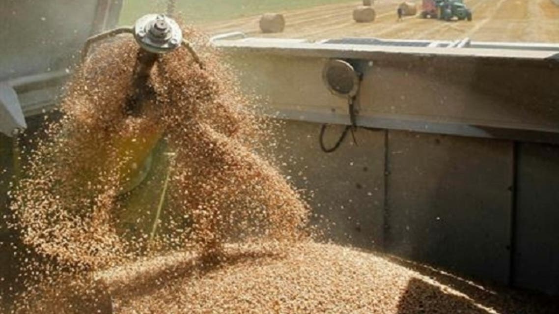 Although Western trade sanctions imposed on Assad’s government have excluded wheat and other foods, the banking sanctions have deterred international trading firms from participating in Syrian grain tenders. (Reuters)