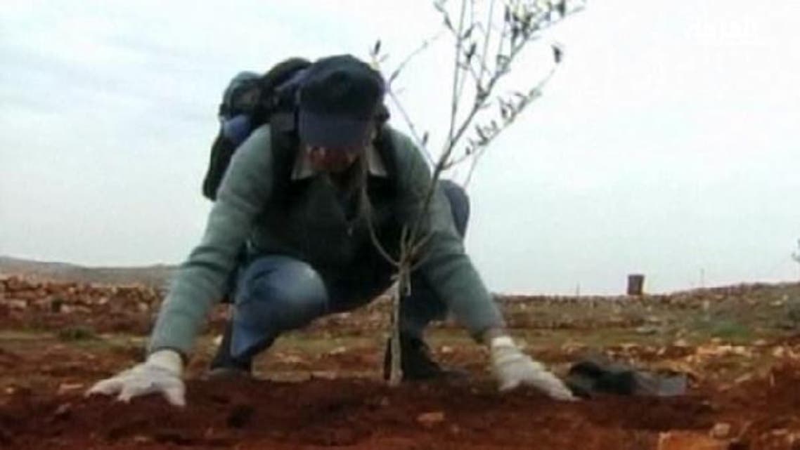 Human rights organization Rabbis for Human Rights plant trees on Palestinian land in the West Bank in solidarity with the locals who have been the target of Jewish settler attacks. (Reuters)