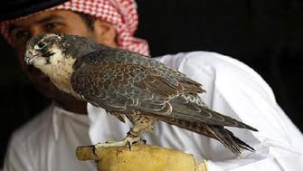 Falconers hunting on outskirts of Dubai