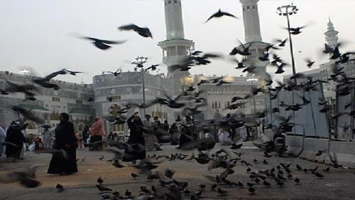 حرم کعبہ کی حدود میں 4 ملین کبوتر مارنے پر تنازعہ