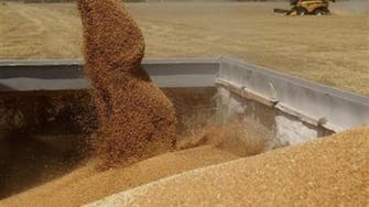 Egypt’s wheat stocks decline amid political crisis