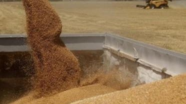 Egypt’s wheat imports are sharply down this year as the country struggles through a political and economic crisis. (Reuters)