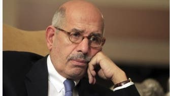 Egypt’s revolution ‘hijacked,’ country ‘falling apart’: ElBaradei