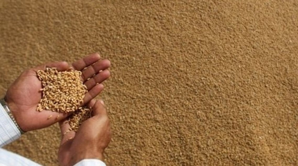 Wheat AFP
