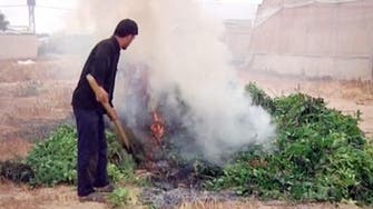Gaza farmers burn tons of basil, mint after Israel border shut