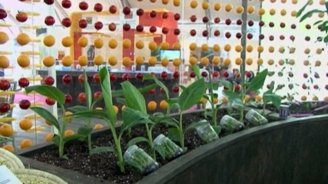 morocco agriculture fair