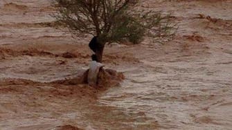 Two men saved by tree as floods hit Hael in Saudi Arabia 