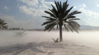 Saudi city covered with snow following unrelenting weather