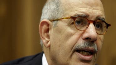 ElBaradei, pictured here in 2009, says Egypt must seek political compromise to win support for an IMF loan. (Reuters)