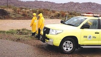 Saudi emergency plan set to combat extreme weather