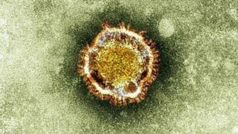 France fears more cases of deadly SARS-like virus