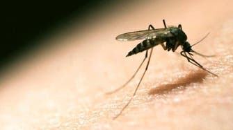 بعد مكافحة 70 عاماً.. الصين تقضي على الملاريا