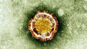 France says new suspected cases of MERS virus       