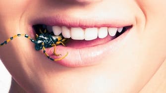 الأمم المتحدة: أكل الحشرات قد يساعد على مكافحة البدانة