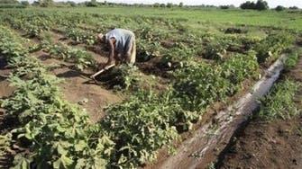 Lebanese firm to invest $800m in Sudan agriculture project