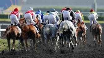 Horse racing: UAE to make doping horses a criminal offence