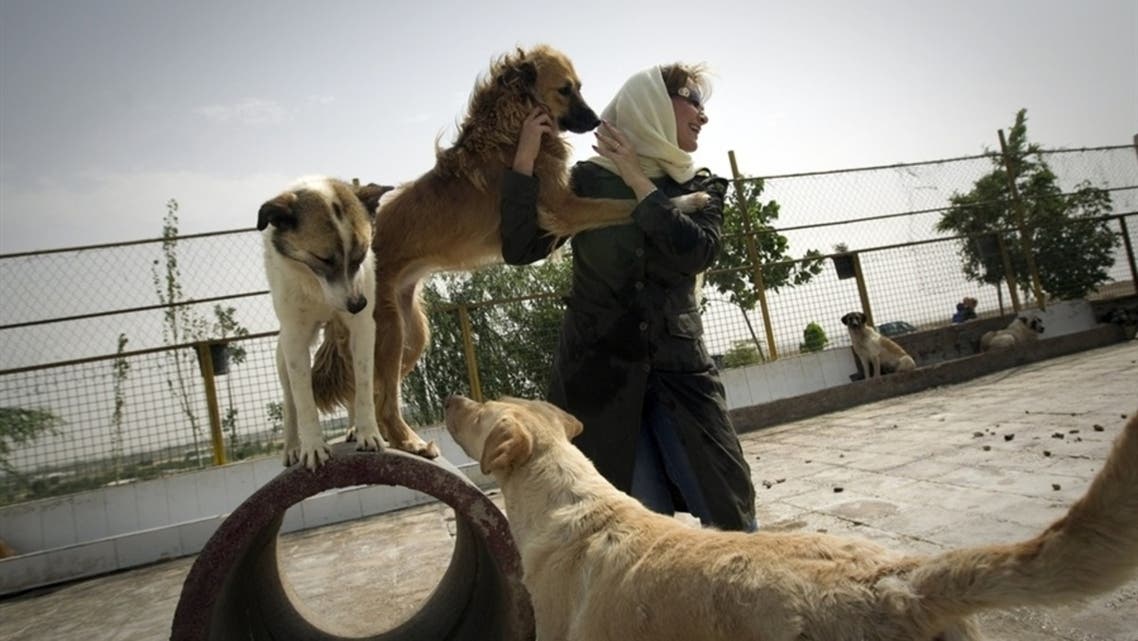 iran dogs AFP