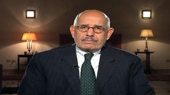 ElBaradei makes call for nationwide uprising against Mursi