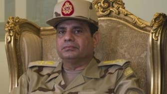 Egypt army chief calls for swift political transition 