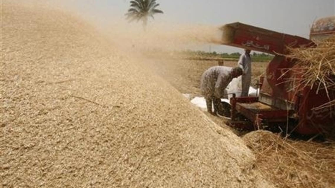 wheat reuters