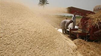 Egypt to start new local wheat procurement system in April 2016 