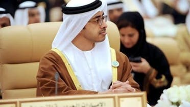 The UAE Foreign Minister Sheikh Abdullah bin Zayed Al Nahyan (File photo: AFP)