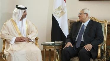 Egypt's interim President Adli Mansour (R) meets with UAE's National Security Adviser Sheikh Hazza bin Zayed al-Nahyan at el-Thadiya presidential palace in Cairo July 9, 2013. (Reuters)