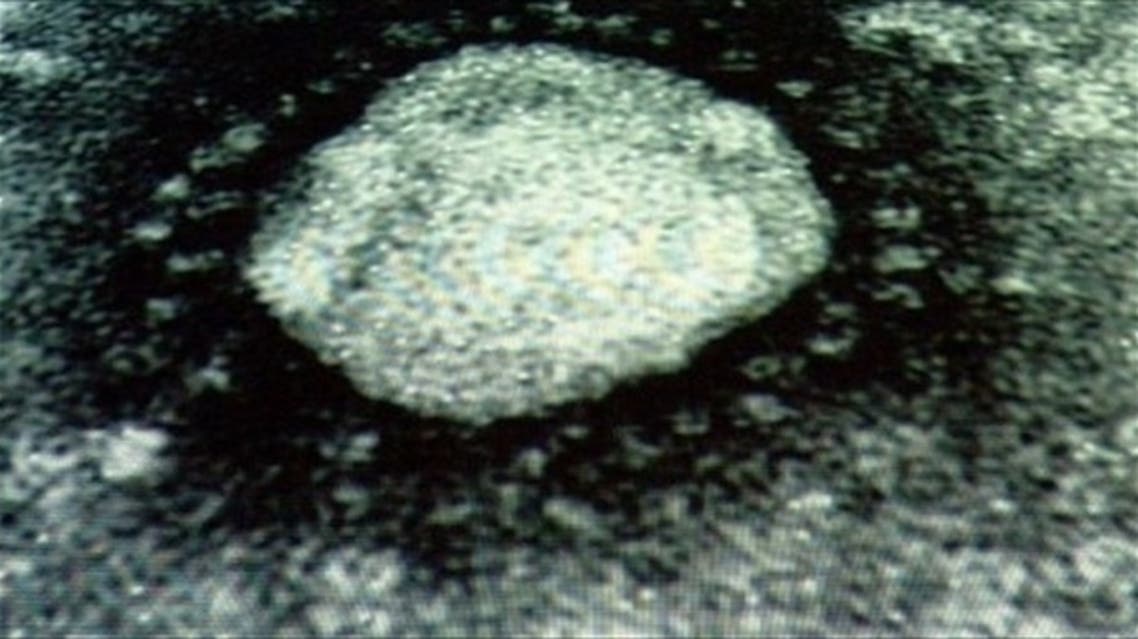 MERS Coronavirus