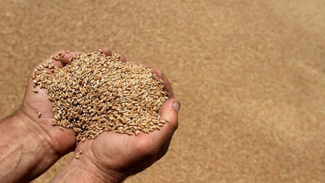 wheat