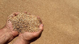 Pakistan says Iran wheat deal to be finalized within weeks