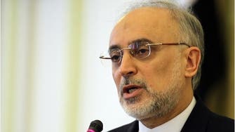 Iran appoints pragmatist Salehi to head nuclear program