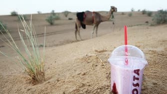 Camel milk popularity rising in UAE 