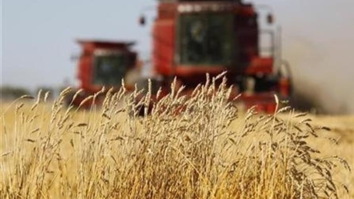 wheat reuters