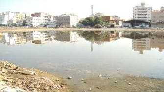 Swamps in south Jeddah a dengue fever threat, say residents