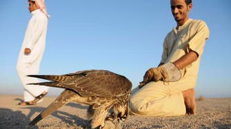 Falconry in Saudi Arabia