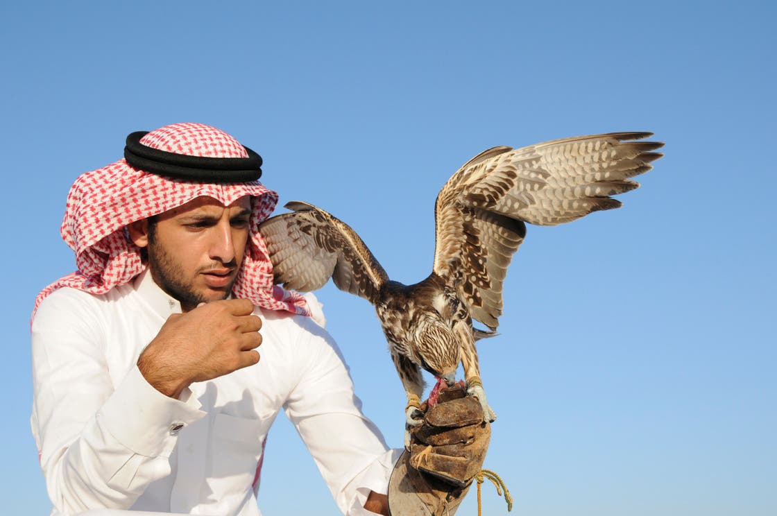 Falconry in Saudi Arabia