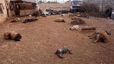 Dead animals pictured in Syria, opposition forces say they died from exposure to a chemical agent (File photo: Reuters)