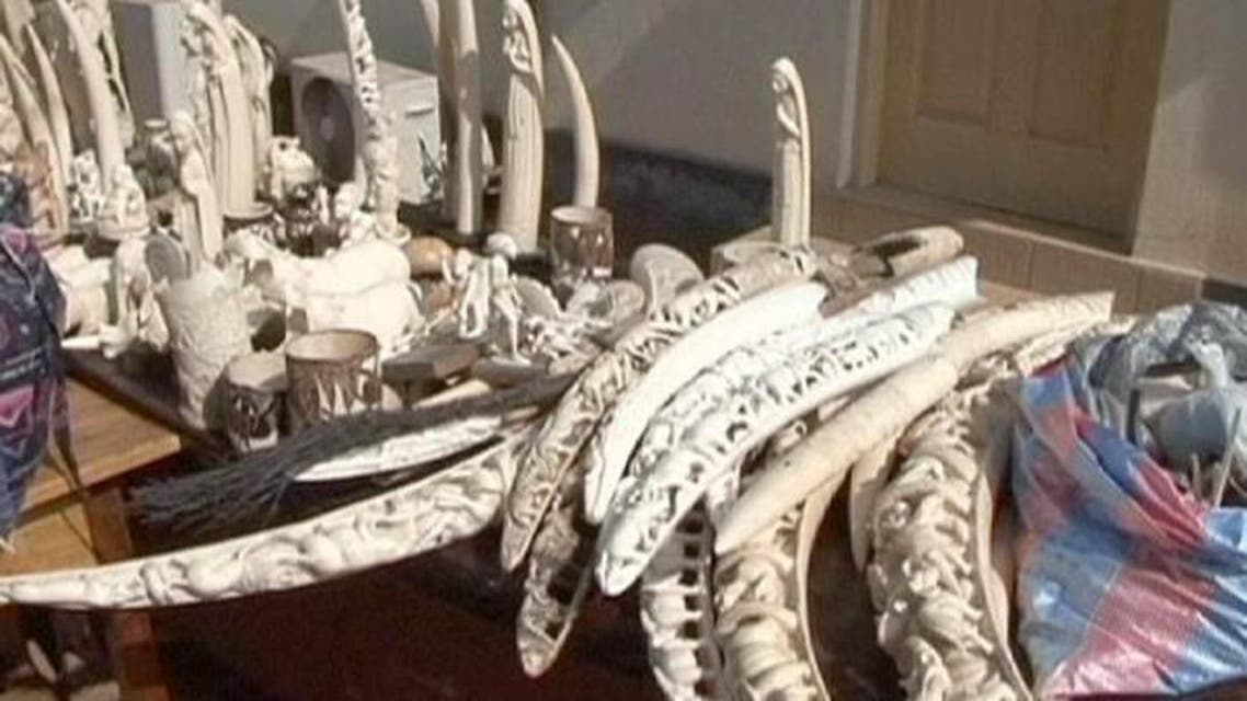 ivory
