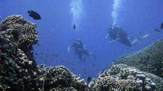 Scuba divers gather in Lebanon to give seabed a deep clean