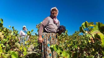 Turkey’s ancient wine making tradition