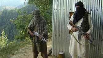 Pakistani Taliban set demands before peace talks