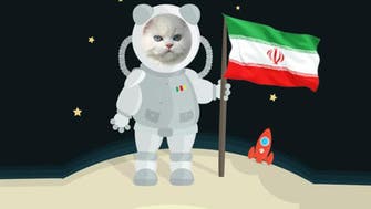 Will curiosity kill the cat? Iran readies to send feline into space