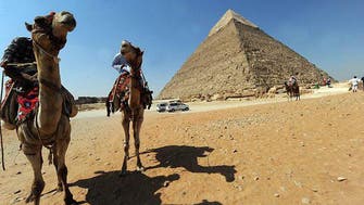 Tourist trips to Egypt resumed by German holiday giant