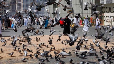 Muslim pilgrims gather for hajj      