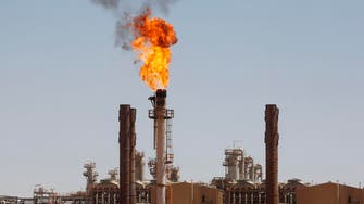 OPEC’s crude oil output ‘adequate to the market’, says UAE