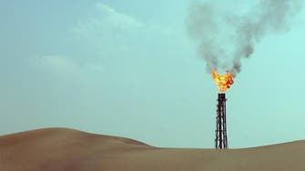 Saudi shale gas drilling bears fruit, says Aramco head
